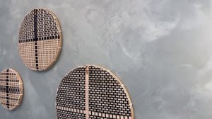 ДП Фонвизина