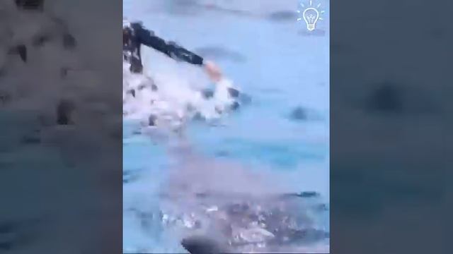ДЕВУШКА И КАСАТКА - взаимопонимание человека и хищника