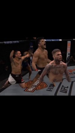 UFC. рекомендации. UFC.