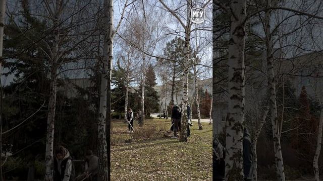 В МГУ имени А.И. Куинджи прошел Общереспубликанский субботник!