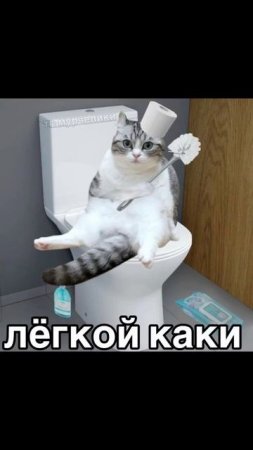 Мем 2