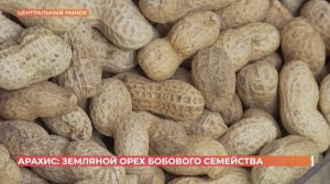 Старый базар. 15 марта 2025