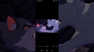 Коты-воители/клип фейерверк\