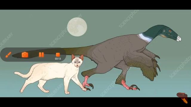 Balaur Bondoc o Falso Velociraptor Vídeos Jurássicos 1 смотреть онлайн
