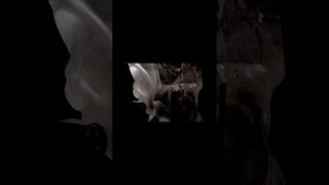 Юлия Гоголь о камнерезном искусстве.
