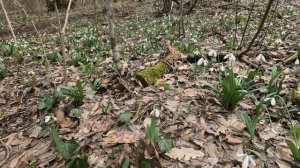 Крым эндуро покатушки.16.03.2025.Первый выезд на 2T