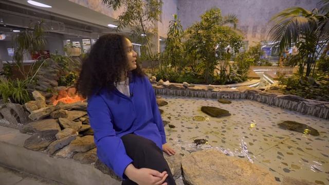 Как поступить в РУДН Обзор вуза глазами студентов смотреть онлайн