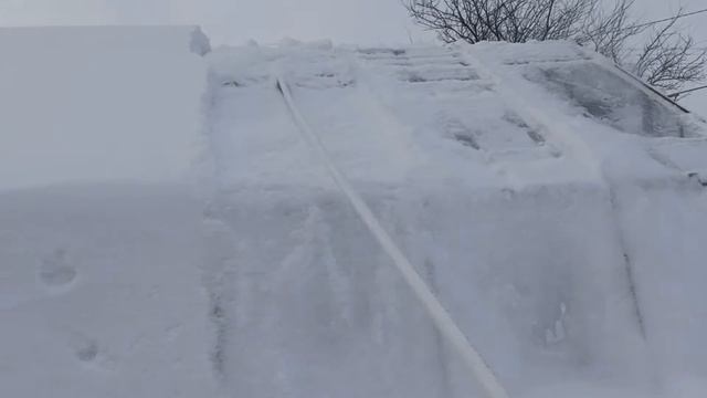Очистка теплицы от снега за 60 секунд