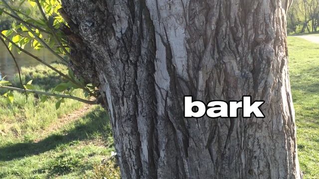 Вам Интересно №3: ВелоСофия на берегу смотреть онлайн