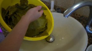 ДОЛМА из ГОВЯДИНЫ / рецепт АЛИНЫ (ENG SUB) #рецепт #долма #кавказ