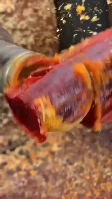 precious  wood used bead l Dimond  l short  video смотреть онлайн