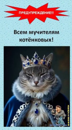 Последнее предупреждение мучителям котят и кошек