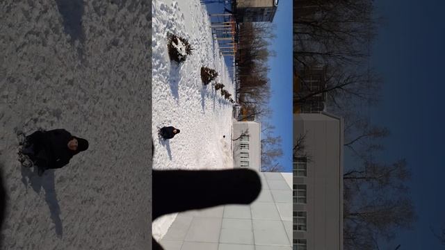 зимнее развлечение