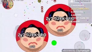 Agar.io 50 lvl sumo skin.