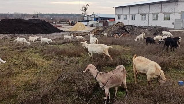 ✌️ +2 🤣 смотреть онлайн