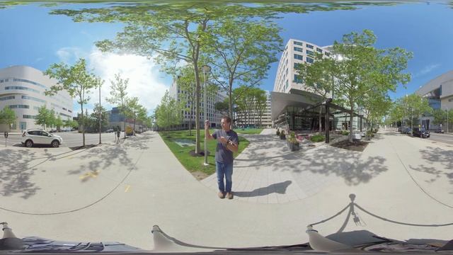 VR video example смотреть онлайн