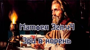 Матфея гл.3.ч1 Зри в корень