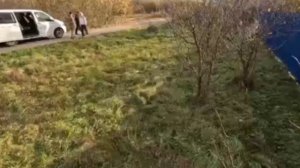 На Украине ТЦК начал проводить "женскую бусификацию"