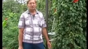 Дачные радости.Марина Рыкалина и Виталий Декабрев.