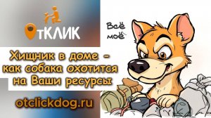 Хищник в доме - как собака охотится на Ваши ресурсы