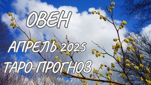 Овен ♈ Таро-прогноз на апрель 2025 года