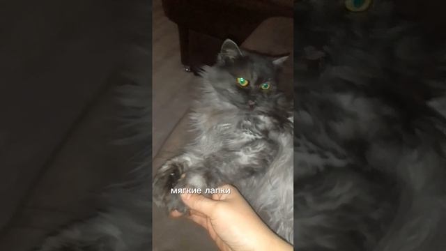 наша Сонечка