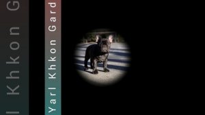 Предлагается.