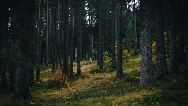 Colorist Reel 2022 - Graham Hunt / Graded in DaVinci Resolve смотреть онлайн