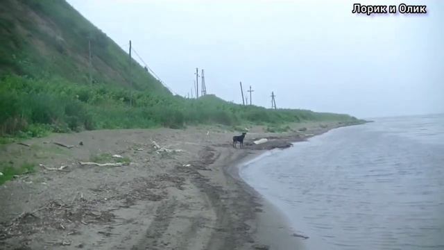 Гуляем и наслаждаемся. У меня настольгия. Я родилась в этом дивном месте. Жила здесь, но не ценила. смотреть онлайн