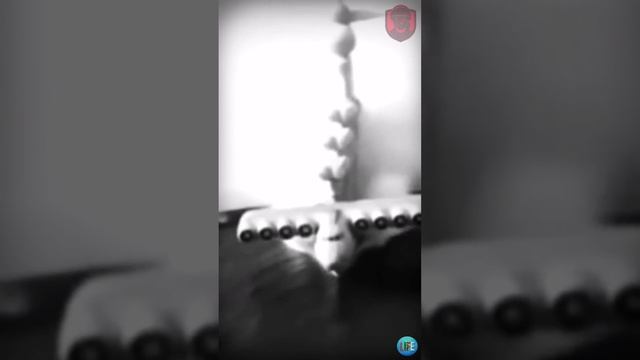Ракетный экраноплан лунь