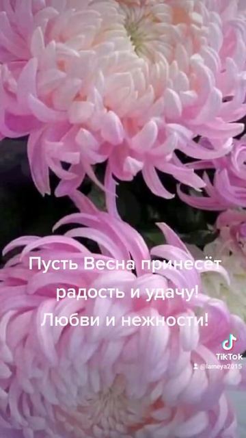 Цветы🌸 С Весной Вас! 🌸 ТИК ТОК #shorts🌸
