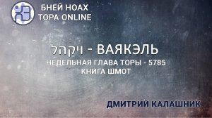 Недельная глава Торы - Парашат а-шавуа - "ВАЯКЭЛЬ" 5785/2025. Дмитрий Калашник