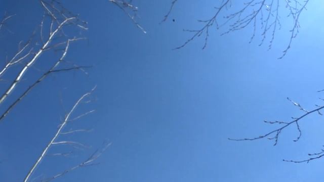 Не фиговый полет сковороды! смотреть онлайн