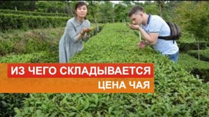 Цена чая