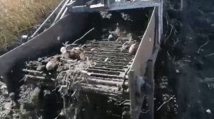 копалка двухрядная на трактор Т-25