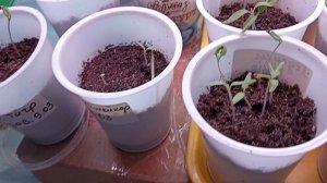 17 марта.Новости дня. Ответы на ваши вопросы.