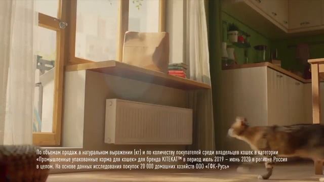 Китекет смотреть онлайн