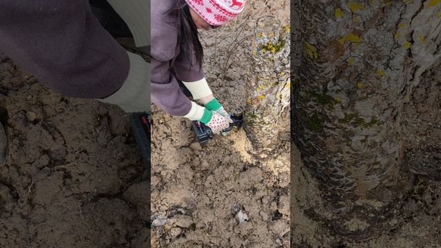 Март 2025 , пробую больший диаметр