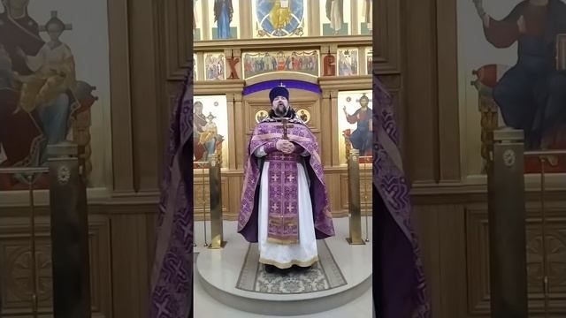 Исцеление расслабленного. Память свт. Григория. Поо заботу о ближнем. Проповедь о. Андрея. 16.3.25