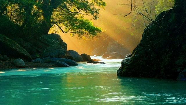 Sviatoslav Richter plays Schubert - Piano Sonata No 14 in A minor, D 784 смотреть онлайн