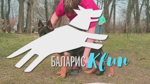 Баларис Квин. Первый хендлинг.
