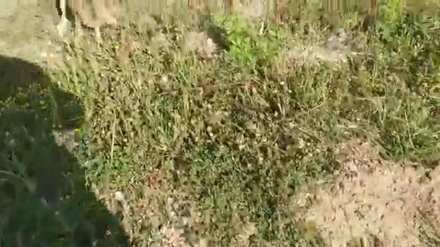 Охриневший заяц на работе смотреть онлайн