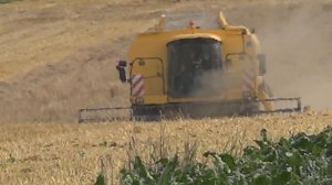 Уборка зерновых в Германии. Уборочная 2015 Комбайн New Holland TX 66