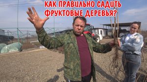КАК ПРАВИЛЬНО САДИТЬ ФРУКТОВЫЕ ДЕРЕВЬЯ / ЯБЛОНЯ,ЧЕРЕШНЯ,СЛИВА,ГРУША /ТЕПЕРЬ У НАС СВОЙ ФРУКТОВЫЙ САД