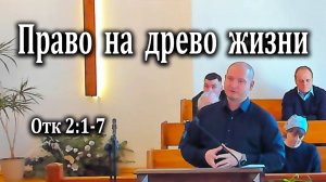 16.03.2025 "Право на древо жизни" Отк 2:1-7 Кудрявцев Юрий