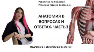 контрольная 3 анатомия - кровь, лимфа, иммунитет -проверь себя!