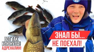 АДРЕНАЛИНА ХАПНУЛ НА ПРОТЯЖЕНИЯ ВСЕЙ РЫБАЛКИ! ЛОВИМ ОКУНЕЙ И ЩУКУ НА ОЗЕРЕ В ТАЙГЕ!