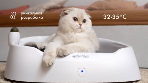 PET FLAT умная лежанка для кошек и собак с подогревом Dream Catcher