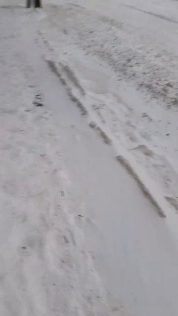 Кто хотел снега? Владивосток смотреть онлайн