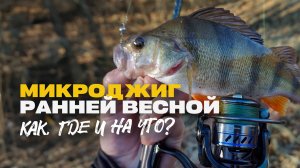 Микроджиг Ранней Весной Как Где и на Что Ловить
